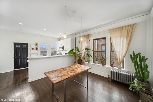 dining area with radiator heating unit and dark hardwood / wood-style floors