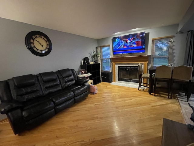 living room featuring hardwood / wood-style flooring