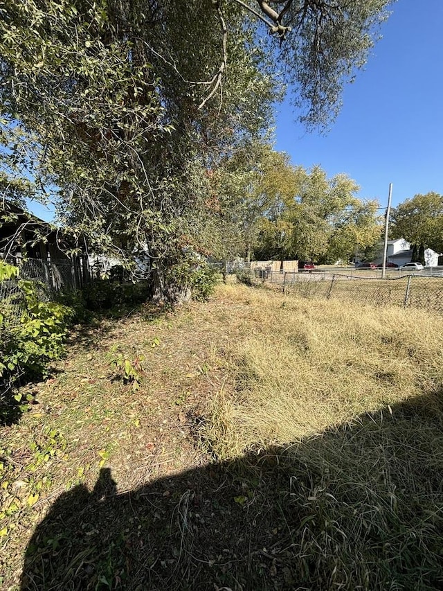 view of yard with a rural view