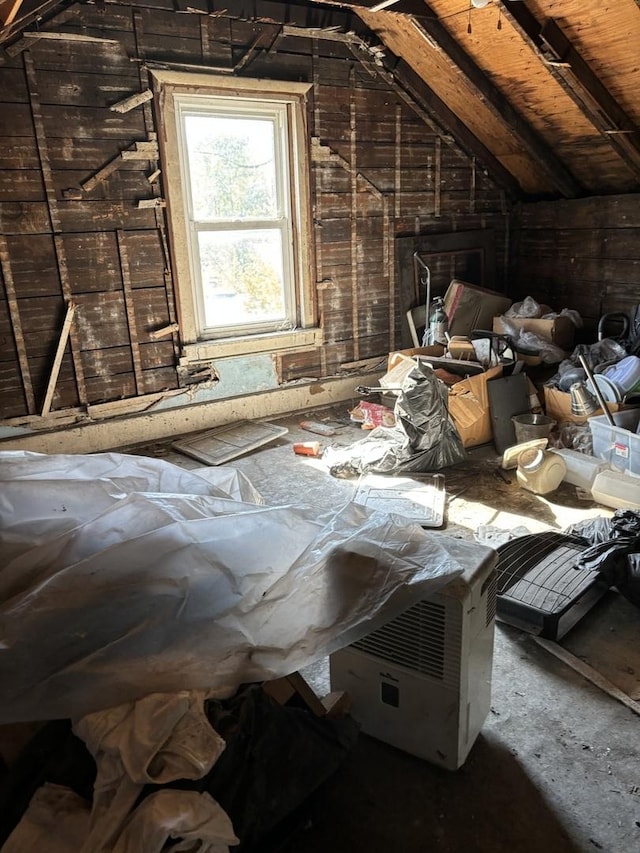 view of unfinished attic