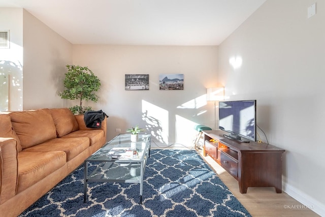 living room with wood-type flooring