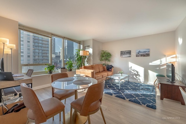 dining room with light hardwood / wood-style flooring