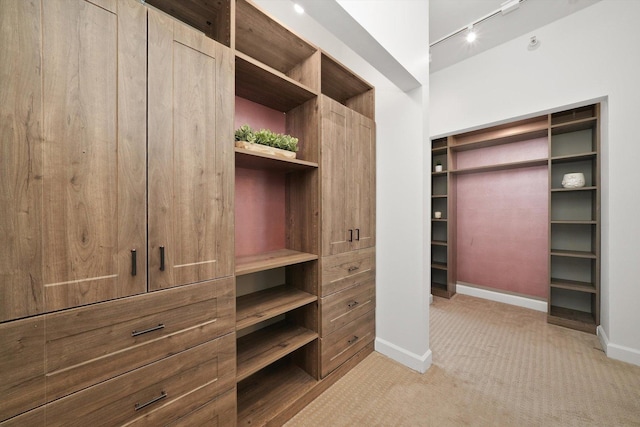 spacious closet with light colored carpet