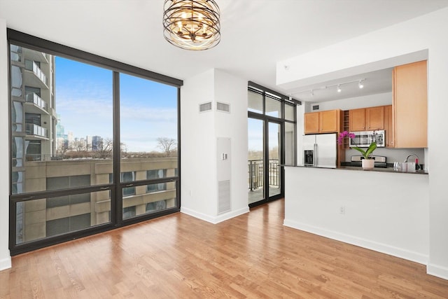 kitchen featuring light wood finished floors, stainless steel appliances, and a wall of windows