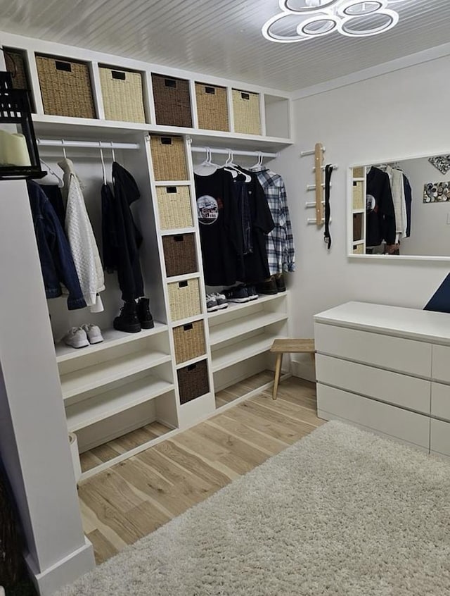 walk in closet featuring light hardwood / wood-style floors