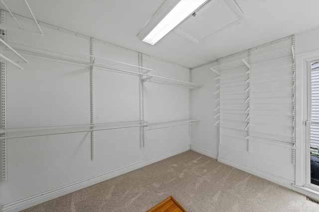 6N356 Dunham Rd, Wayne, IL 60184 - walk in closet with attic access and carpet flooring