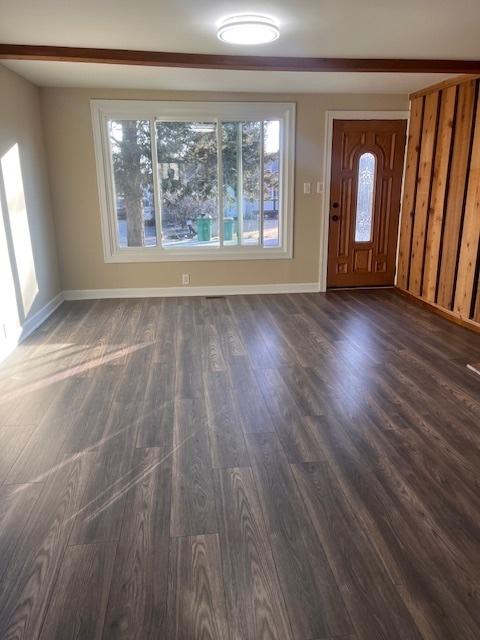 entrance foyer featuring dark hardwood / wood-style flooring and plenty of natural light