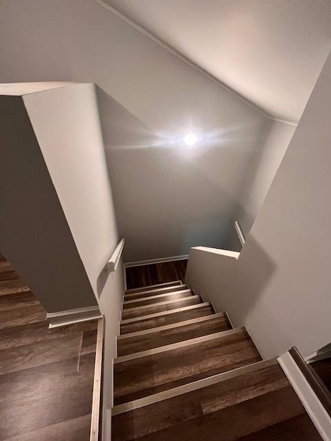 staircase with wood-type flooring