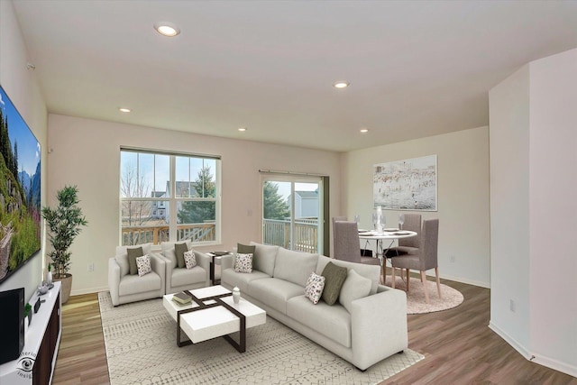 living room with hardwood / wood-style flooring