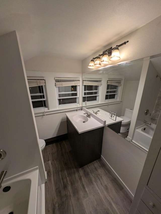 bathroom with vanity, hardwood / wood-style flooring, and toilet