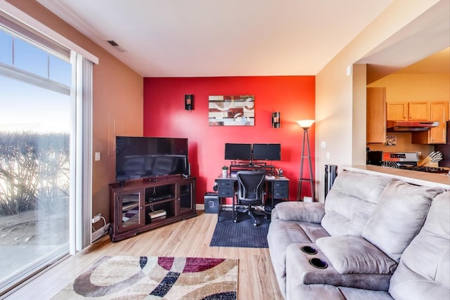 living area featuring light wood-type flooring, visible vents, and baseboards