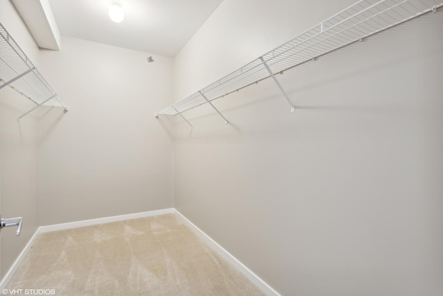 spacious closet featuring light colored carpet