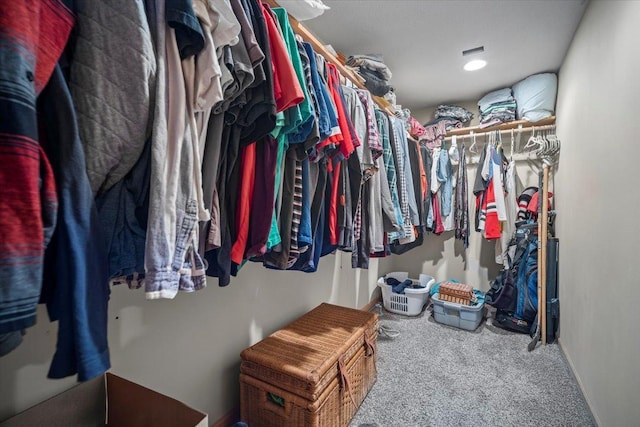 walk in closet with carpet flooring