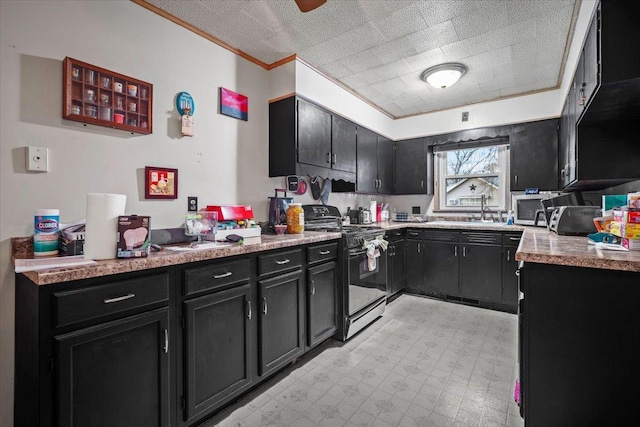 kitchen with ornamental molding, black gas range oven, and sink