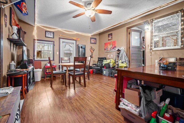 dining room featuring ceiling fan, a textured ceiling, and light hardwood / wood-style floors