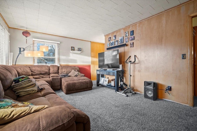 carpeted living room featuring crown molding and wooden walls