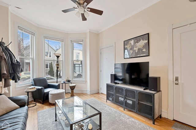 living room with ornamental molding, ceiling fan, and light wood-type flooring