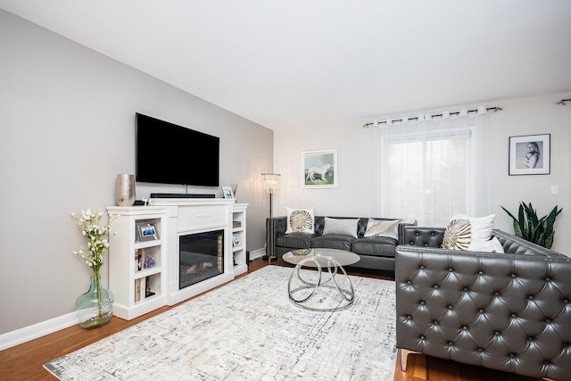 living room featuring wood-type flooring