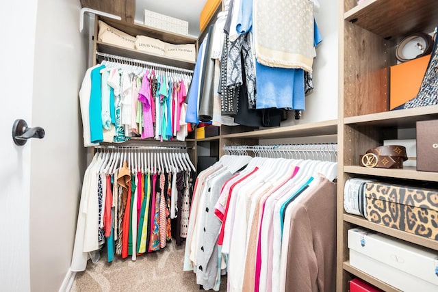 spacious closet with carpet floors