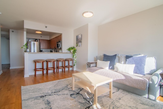 living room featuring light hardwood / wood-style flooring