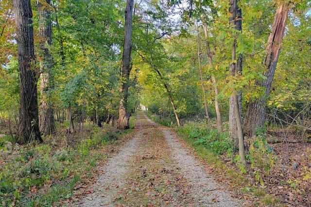 view of road