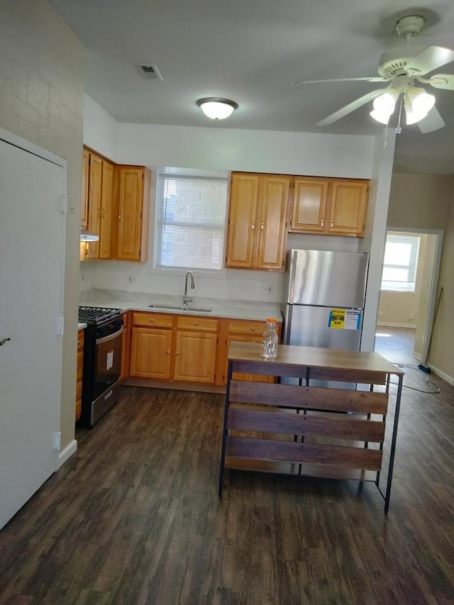 kitchen featuring dark wood-type flooring, ceiling fan, stainless steel appliances, and sink