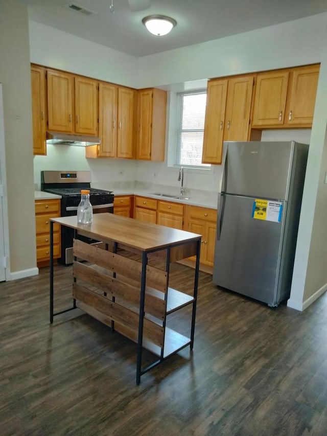 kitchen with appliances with stainless steel finishes, dark hardwood / wood-style flooring, and sink