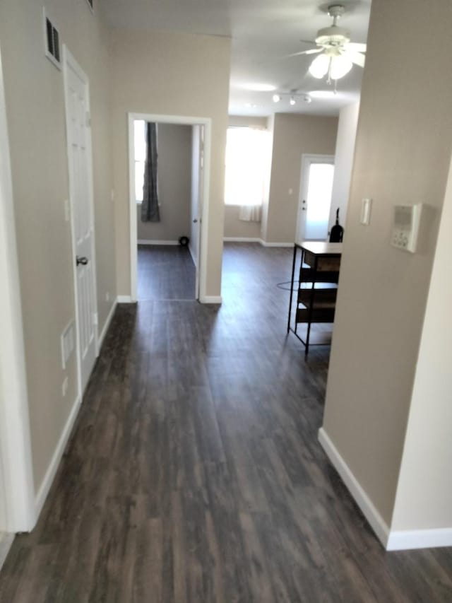 hallway featuring dark hardwood / wood-style flooring