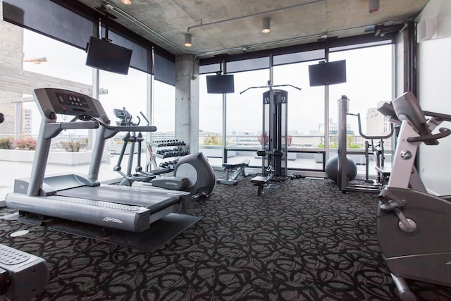 exercise room with floor to ceiling windows and carpet flooring