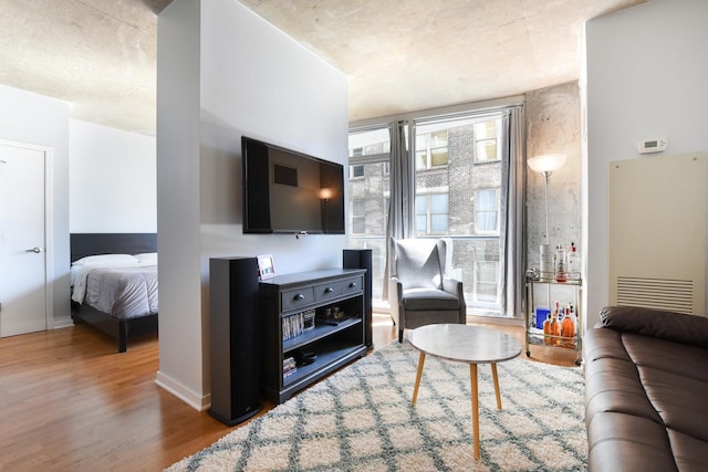 living room featuring hardwood / wood-style flooring