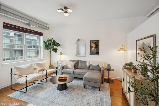 living room featuring wood-type flooring