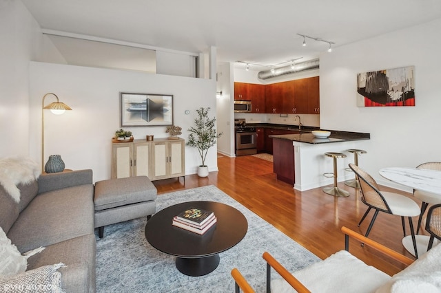 living room featuring dark wood-type flooring and sink