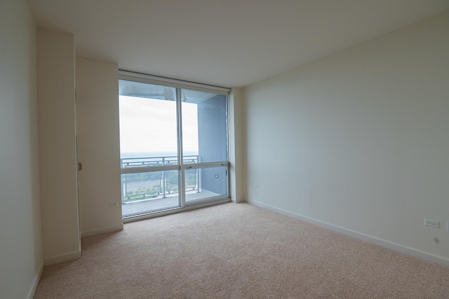 empty room featuring expansive windows and light carpet