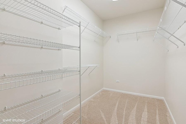 spacious closet with carpet flooring