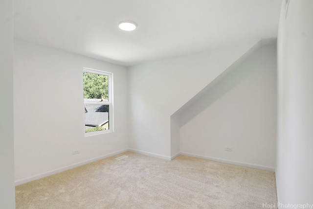 additional living space featuring light carpet