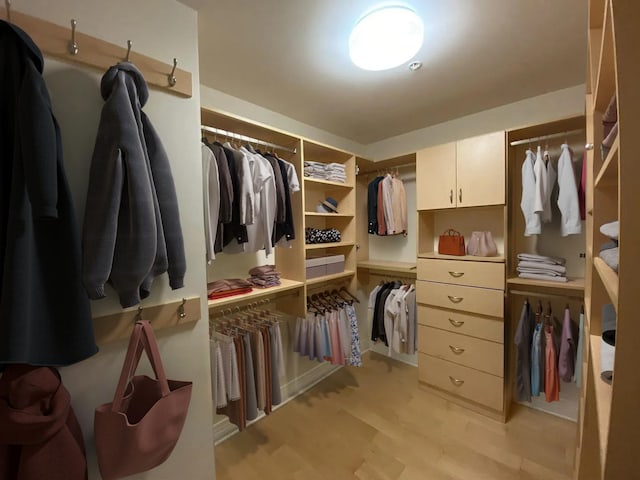 walk in closet with light hardwood / wood-style floors