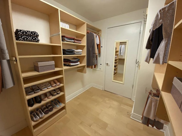 spacious closet featuring light wood-type flooring