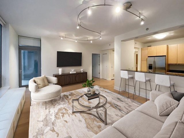 living room featuring light hardwood / wood-style flooring