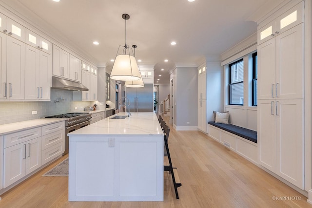 kitchen with sink, an island with sink, and white cabinets