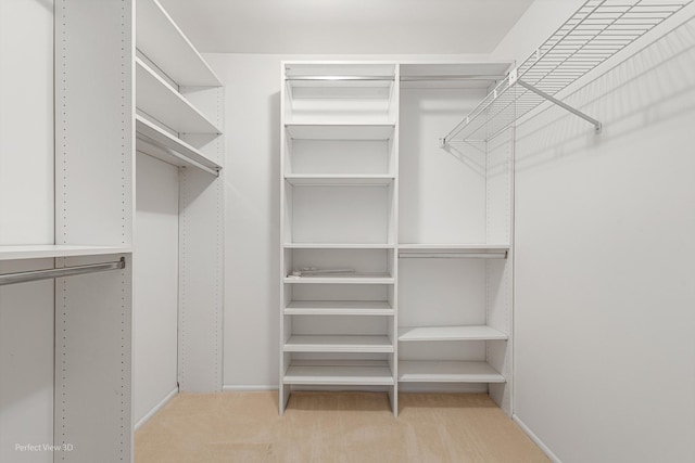 spacious closet with light carpet