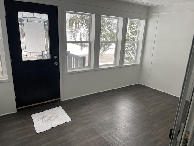 entrance foyer featuring dark hardwood / wood-style floors and a wealth of natural light