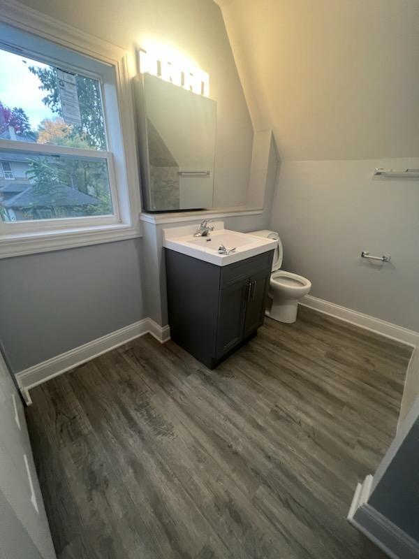 bathroom featuring vanity, wood-type flooring, toilet, and vaulted ceiling