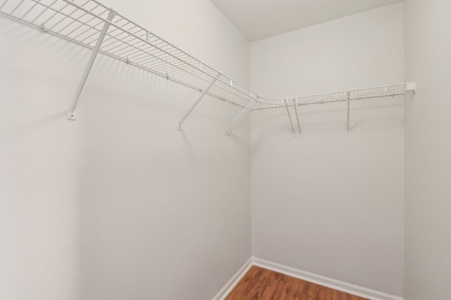 walk in closet featuring hardwood / wood-style floors