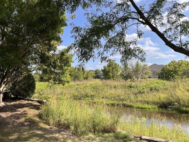 view of landscape featuring a water view