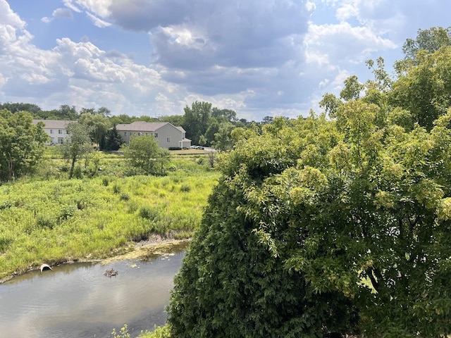 view of local wilderness