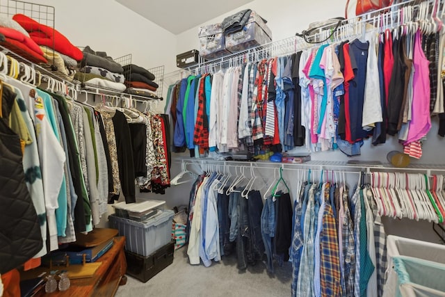 1616 Colchester Ln, Aurora, IL 60502 - spacious closet featuring carpet floors