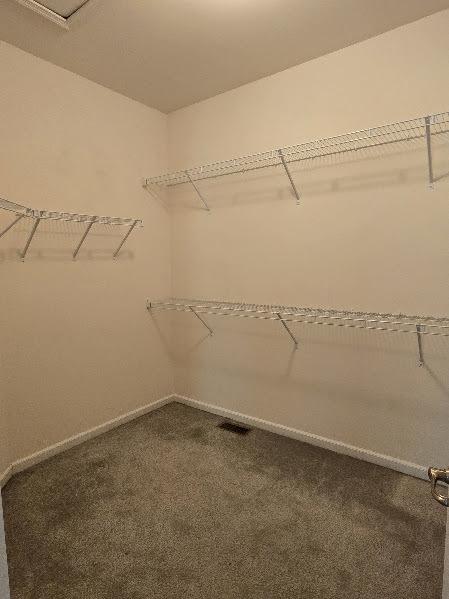 1616 Colchester Ln, Aurora, IL 60502 - walk in closet featuring carpet