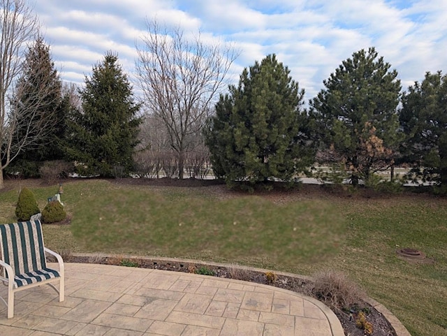 1616 Colchester Ln, Aurora, IL 60502 - view of grassy yard with a patio area