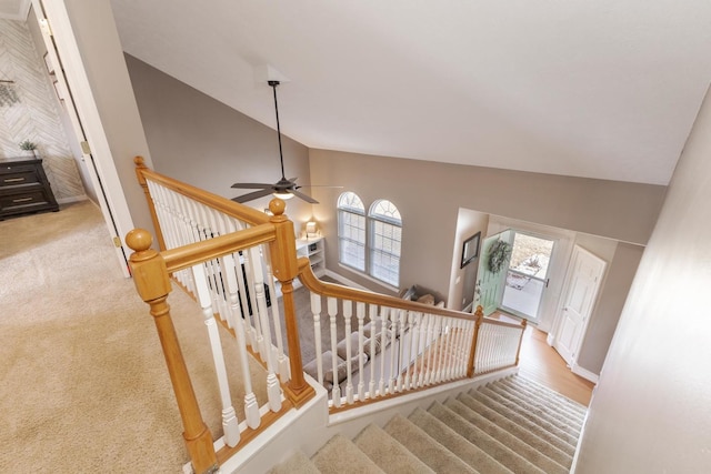 staircase with ceiling fan, carpet flooring, and high vaulted ceiling