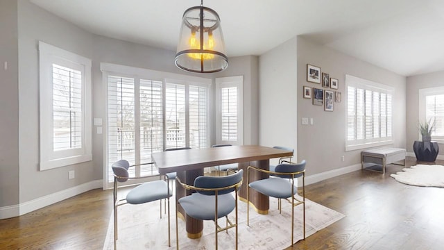 dining room featuring plenty of natural light and hardwood / wood-style flooring